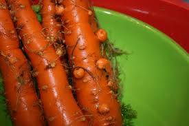 Carrots - image 4