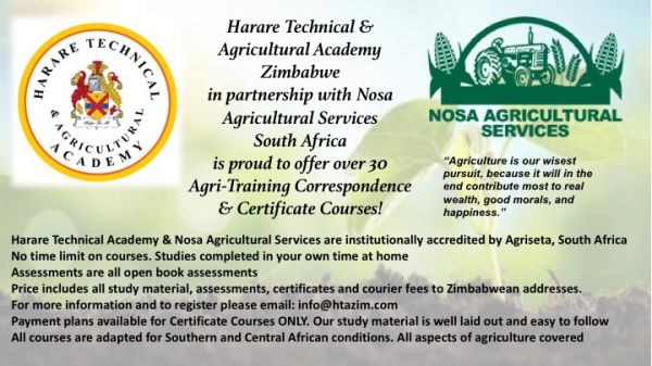Harare Technical & Agricultural Academy
