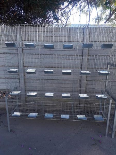 Rabbit weaners cages for sale
