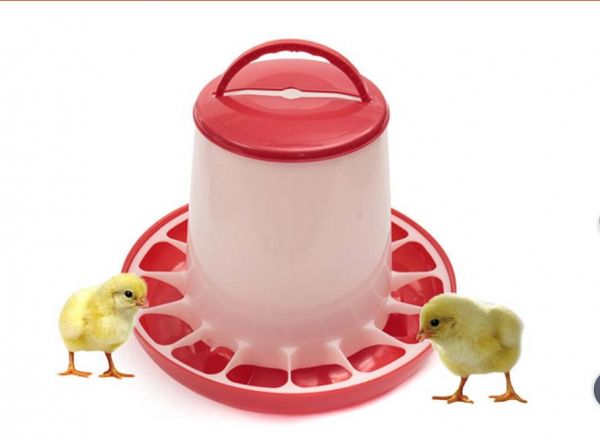 Red and white chicken feeders for sale