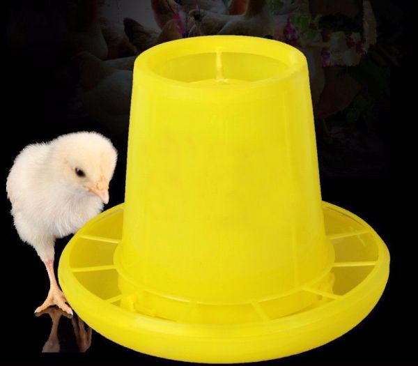 Yellow chicken feeders for sale