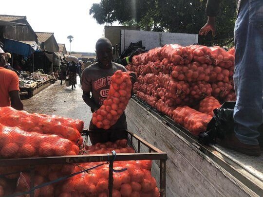 Onions for sale