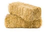 Hay Bales