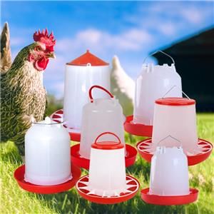 Poultry Feeders for Sale