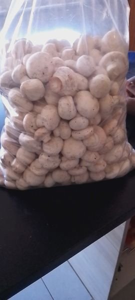Button mushrooms