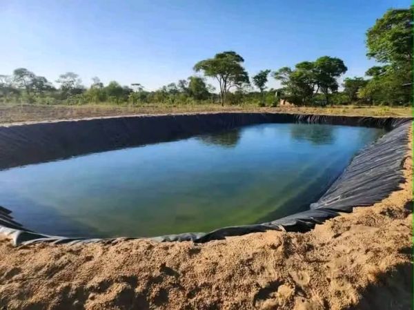 Pond Construction