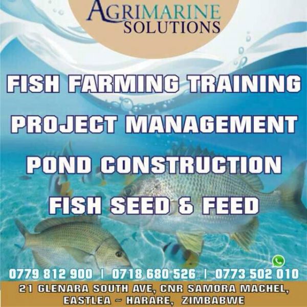 Fish Seed and Feeds