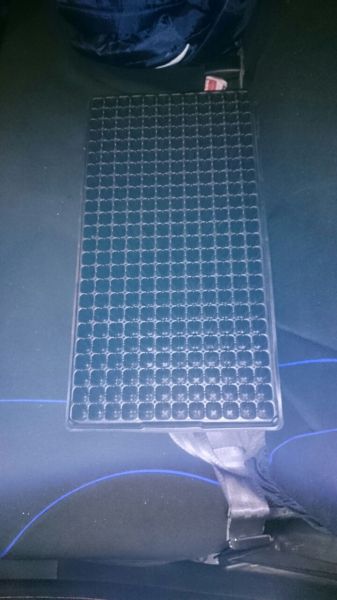 Seedling trays for sale