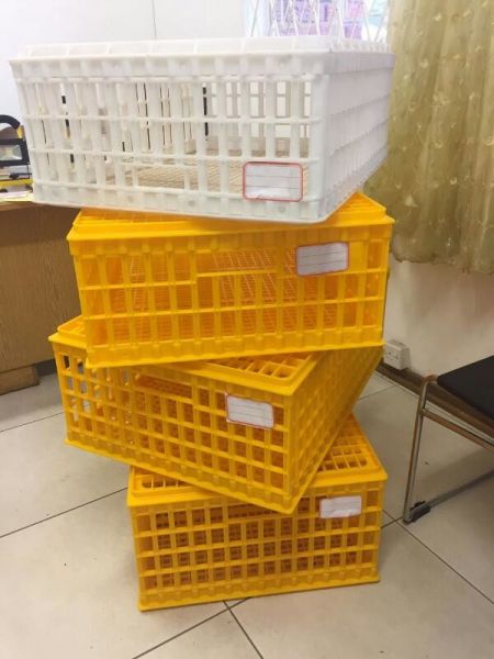 Poultry / chicken transferring baskets for sale