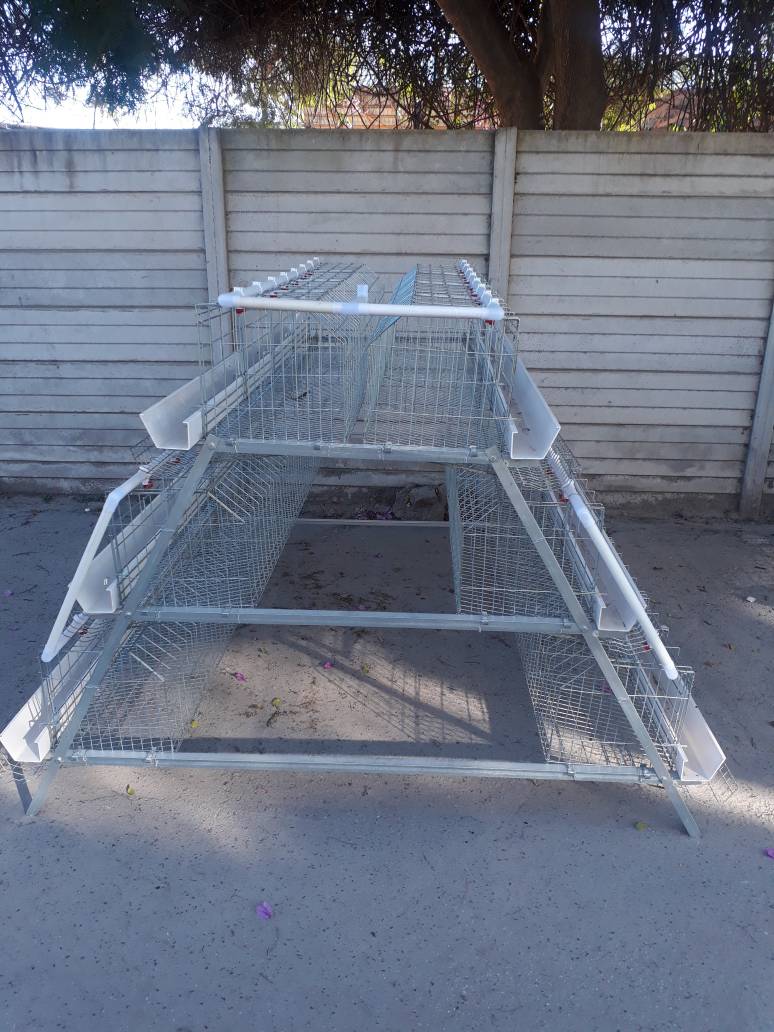 Chicken Layer Cages For Sale Agri Universe Zimbabwe