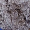 Cotton Motes for sale